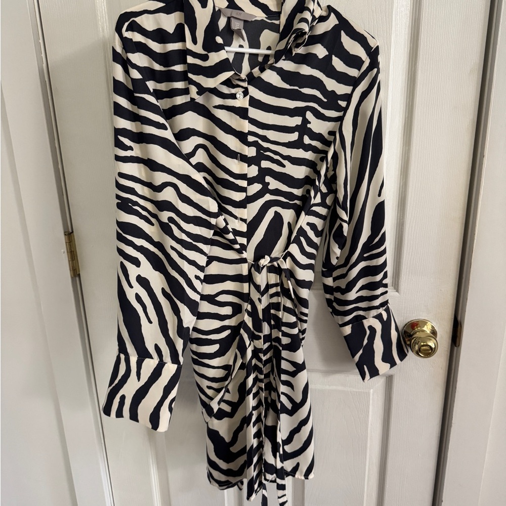 H&M Black and White Zebra Print Dress